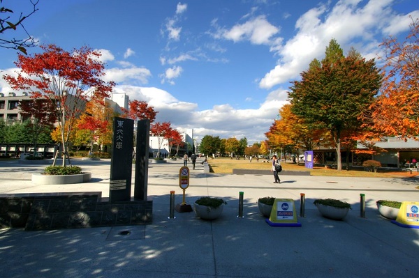 Khuôn viên rộng lớn của trường Đại học